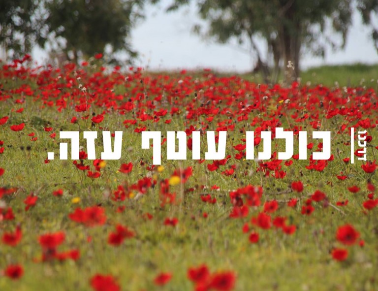 כולנו עוטף עזה